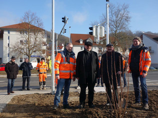 Symbolische Buschpflanzung mit (von links) Jürgen Amann, Bauleiter, Bürgermeister Rainer Züfle, Kreiskämmerer Helmut Kercher und Oliver Bückner, Straßenbauamtsleiter